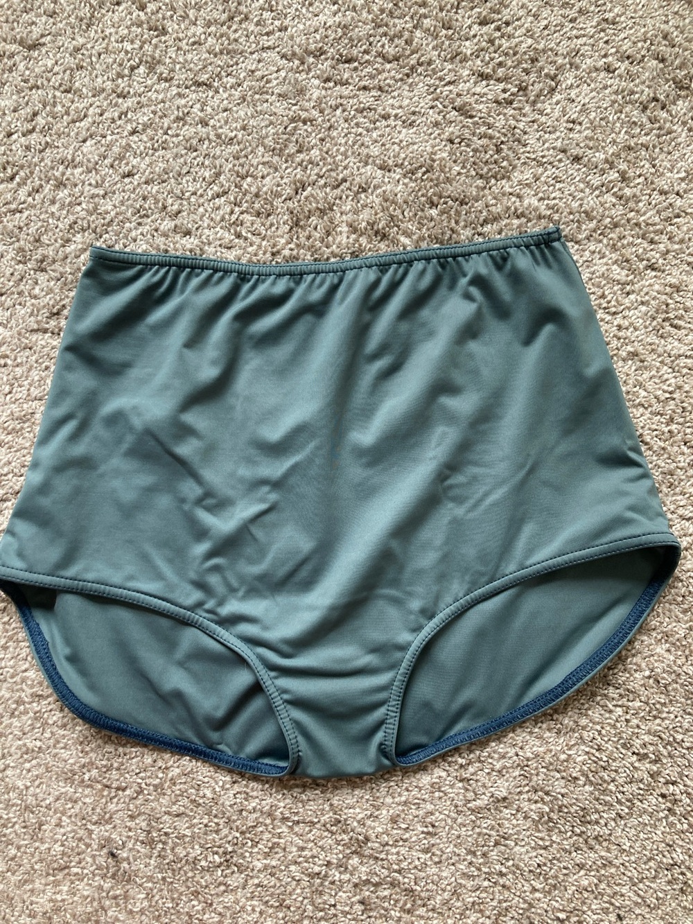 HDH swim hackwith swim briefs bottoms high waist full coverage sz L